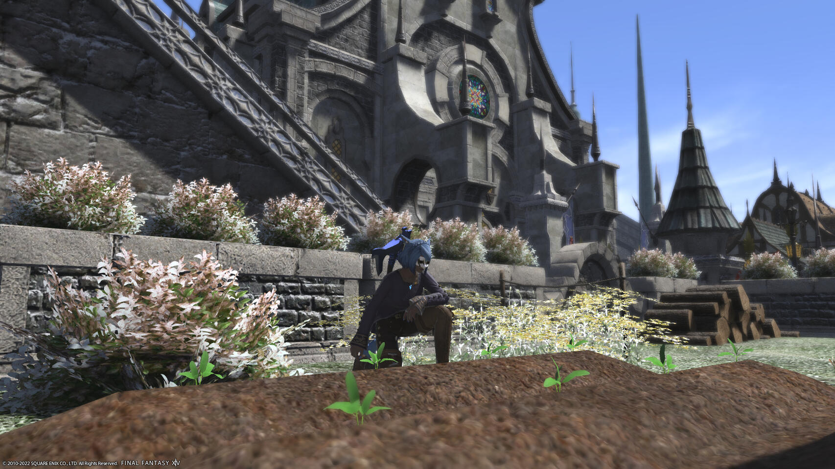 Submission 7 - LyssaLittleBear